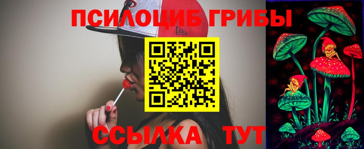 Соль-Илецк  где купить наркоту  Псилоцибиновые грибы Magic Shrooms  Вход с VPN  Псилоцибиновые грибы Cubensis 